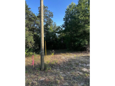 Peaceful charm of rural living, build your dream home in a on Williston Highlands Golf and Country Club in Florida - for sale on GolfHomes.com, golf home, golf lot
