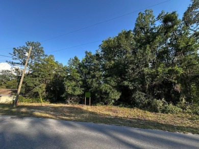 Peaceful charm of rural living, build your dream home in a on Williston Highlands Golf and Country Club in Florida - for sale on GolfHomes.com, golf home, golf lot