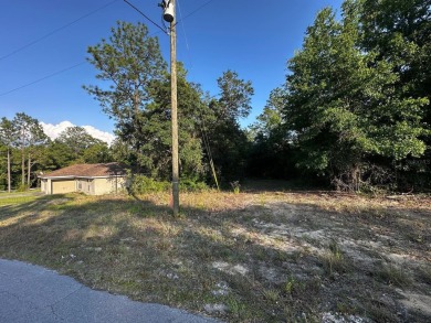 Peaceful charm of rural living, build your dream home in a on Williston Highlands Golf and Country Club in Florida - for sale on GolfHomes.com, golf home, golf lot