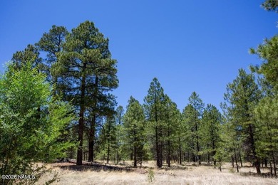 Discover refined country living in Lakeside Acres at the Country on Aspen Valley Golf Club in Arizona - for sale on GolfHomes.com, golf home, golf lot