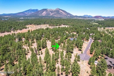 Discover refined country living in Lakeside Acres at the Country on Aspen Valley Golf Club in Arizona - for sale on GolfHomes.com, golf home, golf lot