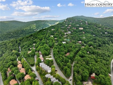 Don't Miss this Opportunity! If you're seeking a single-level on Beech Mountain Club in North Carolina - for sale on GolfHomes.com, golf home, golf lot