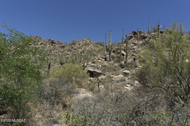 2.64 acre building site in exclusive guard-gated Stone Canyon! on Stone Canyon Club in Arizona - for sale on GolfHomes.com, golf home, golf lot