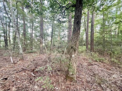 Here are two adjoining, wooded lots across the street from the on Pendleton Harbor in Texas - for sale on GolfHomes.com, golf home, golf lot