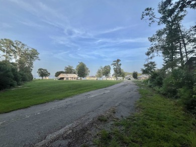 Here are two adjoining, wooded lots across the street from the on Pendleton Harbor in Texas - for sale on GolfHomes.com, golf home, golf lot