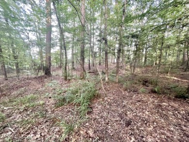 Here are two adjoining, wooded lots across the street from the on Pendleton Harbor in Texas - for sale on GolfHomes.com, golf home, golf lot
