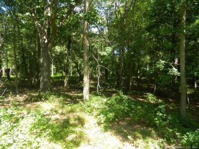 26 Acs of private wooded land with fairway & green frontage on on Black Hall Club in Connecticut - for sale on GolfHomes.com, golf home, golf lot