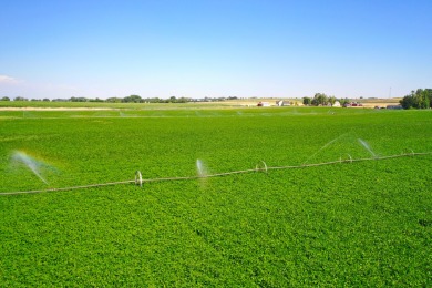 Irrigated productive farmland near the Deer Flat Low Line Canal on Timberstone Golf Course in Idaho - for sale on GolfHomes.com, golf home, golf lot