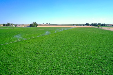 Irrigated productive farmland near the Deer Flat Low Line Canal on Timberstone Golf Course in Idaho - for sale on GolfHomes.com, golf home, golf lot