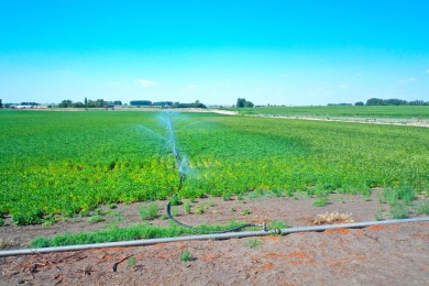 Irrigated productive farmland near the Deer Flat Low Line Canal on Timberstone Golf Course in Idaho - for sale on GolfHomes.com, golf home, golf lot