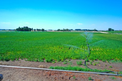 Irrigated productive farmland near the Deer Flat Low Line Canal on Timberstone Golf Course in Idaho - for sale on GolfHomes.com, golf home, golf lot