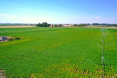 Irrigated productive farmland near the Deer Flat Low Line Canal on Timberstone Golf Course in Idaho - for sale on GolfHomes.com, golf home, golf lot