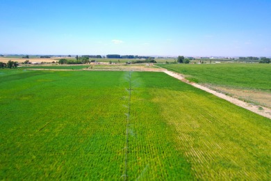 Irrigated productive farmland near the Deer Flat Low Line Canal on Timberstone Golf Course in Idaho - for sale on GolfHomes.com, golf home, golf lot