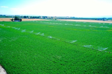 Irrigated productive farmland near the Deer Flat Low Line Canal on Timberstone Golf Course in Idaho - for sale on GolfHomes.com, golf home, golf lot