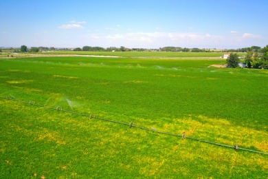 Irrigated productive farmland near the Deer Flat Low Line Canal on Timberstone Golf Course in Idaho - for sale on GolfHomes.com, golf home, golf lot