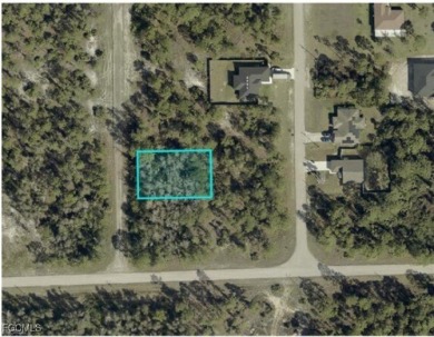 Discover an incredible opportunity to own an affordable on Mirror Lakes Golf Club in Florida - for sale on GolfHomes.com, golf home, golf lot