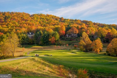 Welcome to an exceptional living experience, a home where the on Sky Valley Resort and Country Club in Georgia - for sale on GolfHomes.com, golf home, golf lot
