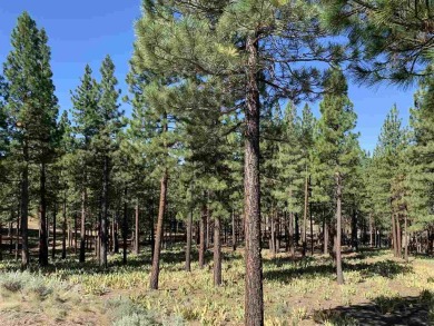 Beautiful Grizzly Ranch residential lot offers wonderful privacy on Grizzly Ranch Golf Club in California - for sale on GolfHomes.com, golf home, golf lot