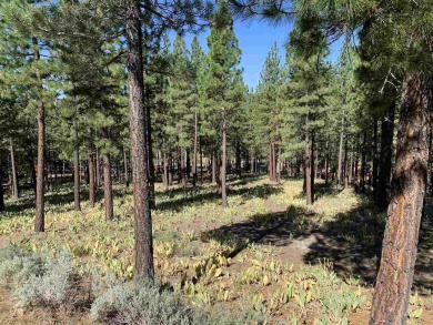 Beautiful Grizzly Ranch residential lot offers wonderful privacy on Grizzly Ranch Golf Club in California - for sale on GolfHomes.com, golf home, golf lot
