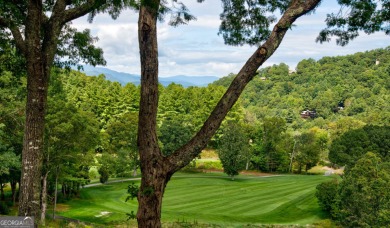 Welcome to an exceptional living experience, a home where the on Sky Valley Resort and Country Club in Georgia - for sale on GolfHomes.com, golf home, golf lot