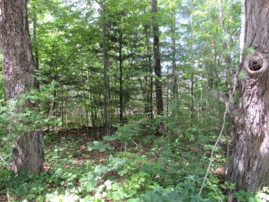 Nice 1.13 acre building lot near the golf course with a short on Palmyra Golf Course in Maine - for sale on GolfHomes.com, golf home, golf lot