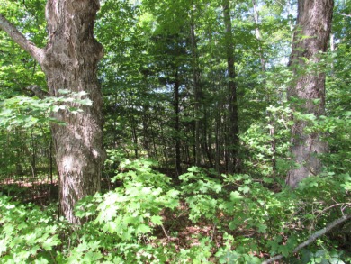 Nice 1.13 acre building lot near the golf course with a short on Palmyra Golf Course in Maine - for sale on GolfHomes.com, golf home, golf lot