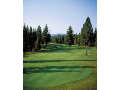Fabulous location at #1 Tee Box, across from Bailey Creek Golf on Bailey Creek Golf Course in California - for sale on GolfHomes.com, golf home, golf lot