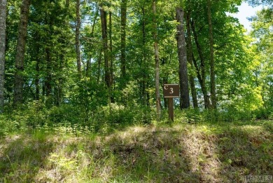 Picture your future home, positioned at 3,800 feet in elevation on Natures Walk At Chinquapin in North Carolina - for sale on GolfHomes.com, golf home, golf lot
