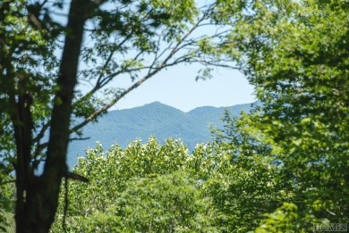 Picture your future home, positioned at 3,800 feet in elevation on Natures Walk At Chinquapin in North Carolina - for sale on GolfHomes.com, golf home, golf lot