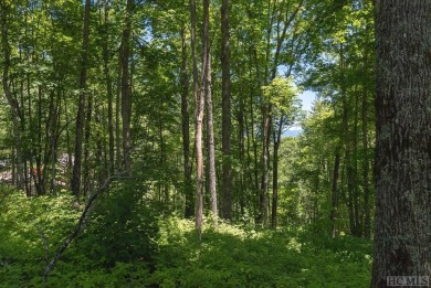 Picture your future home, positioned at 3,800 feet in elevation on Natures Walk At Chinquapin in North Carolina - for sale on GolfHomes.com, golf home, golf lot