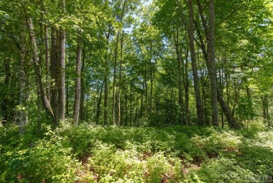 Picture your future home, positioned at 3,800 feet in elevation on Natures Walk At Chinquapin in North Carolina - for sale on GolfHomes.com, golf home, golf lot