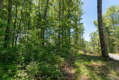 Picture your future home, positioned at 3,800 feet in elevation on Natures Walk At Chinquapin in North Carolina - for sale on GolfHomes.com, golf home, golf lot