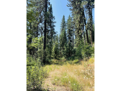 Don't miss this exceptional opportunity to own a beautiful 0 on Terrace Lakes Golf Resort in Idaho - for sale on GolfHomes.com, golf home, golf lot