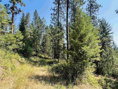 Don't miss this exceptional opportunity to own a beautiful 0 on Terrace Lakes Golf Resort in Idaho - for sale on GolfHomes.com, golf home, golf lot