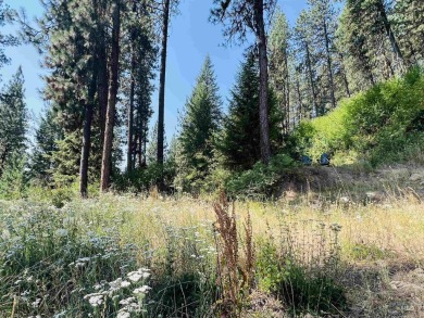 Don't miss this exceptional opportunity to own a beautiful 0 on Terrace Lakes Golf Resort in Idaho - for sale on GolfHomes.com, golf home, golf lot