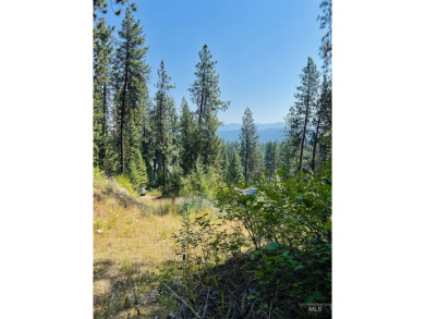 Don't miss this exceptional opportunity to own a beautiful 0 on Terrace Lakes Golf Resort in Idaho - for sale on GolfHomes.com, golf home, golf lot