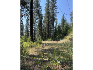 Don't miss this exceptional opportunity to own a beautiful 0 on Terrace Lakes Golf Resort in Idaho - for sale on GolfHomes.com, golf home, golf lot