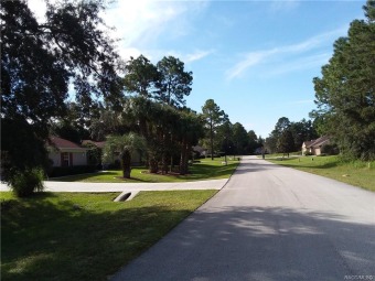 Beautiful golf course lot on 14th Fairway at Southern Woods Golf on Southern Woods Golf Club in Florida - for sale on GolfHomes.com, golf home, golf lot