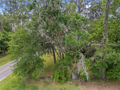 Discover the perfect opportunity to build your dream home in the on Turkey Creek Golf and Country Club in Florida - for sale on GolfHomes.com, golf home, golf lot