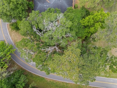 Discover the perfect opportunity to build your dream home in the on Turkey Creek Golf and Country Club in Florida - for sale on GolfHomes.com, golf home, golf lot