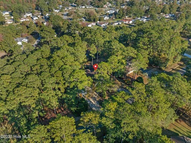 Step into the warmth of 41 Pinewood Drive in Carolina Shores! on Carolina Shores Golf Course in North Carolina - for sale on GolfHomes.com, golf home, golf lot