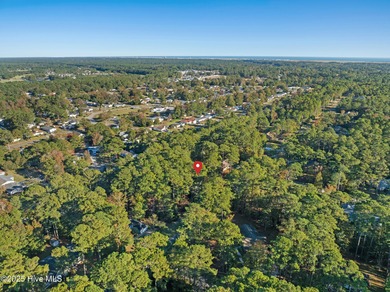 Step into the warmth of 41 Pinewood Drive in Carolina Shores! on Carolina Shores Golf Course in North Carolina - for sale on GolfHomes.com, golf home, golf lot