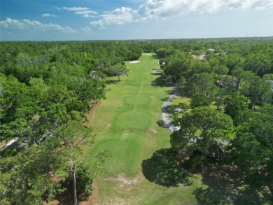Welcome to this beautifully updated 2 bedroom, 2 and a half bath on East Lake Woodlands Country Club in Florida - for sale on GolfHomes.com, golf home, golf lot