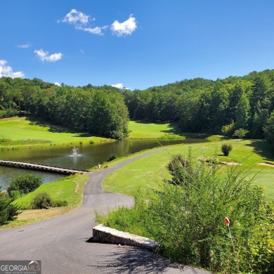 Discover the perfect canvas for your DREAM MOUNTAIN RETREAT in on Innsbruck Resort and Golf Club in Georgia - for sale on GolfHomes.com, golf home, golf lot