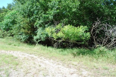 Looking for a retreat with water view, this one fits the bill on White Bluff Resort - Old Course in Texas - for sale on GolfHomes.com, golf home, golf lot