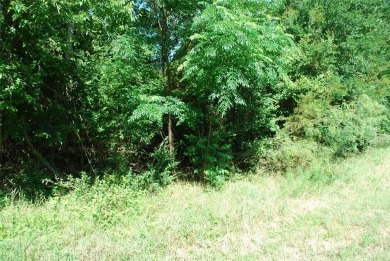 Looking for a retreat with water view, this one fits the bill on White Bluff Resort - Old Course in Texas - for sale on GolfHomes.com, golf home, golf lot