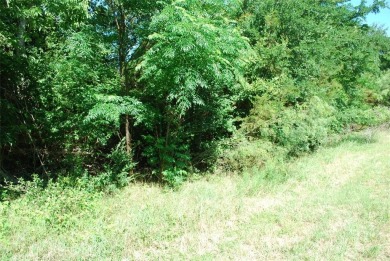 Looking for a retreat with water view, this one fits the bill on White Bluff Resort - Old Course in Texas - for sale on GolfHomes.com, golf home, golf lot