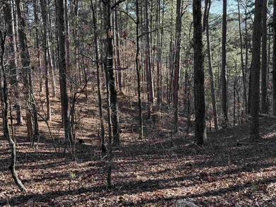 Enjoy privacy and views with these minimally sloped lots on Cortez Golf Course in Arkansas - for sale on GolfHomes.com, golf home, golf lot