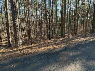 Enjoy privacy and views with these minimally sloped lots on Cortez Golf Course in Arkansas - for sale on GolfHomes.com, golf home, golf lot