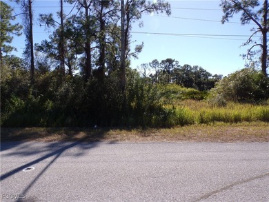 This Great waterfront lot is on the Fox canal providing a water on Lehigh Resort Club in Florida - for sale on GolfHomes.com, golf home, golf lot